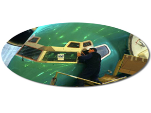 “玉米片型”铝颜料